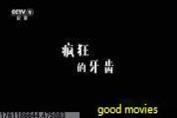 《性爱交叉点》影片解析详尽,交叉性爱的多