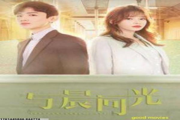 《清网行动》清网反腐行动的热血故事情节全